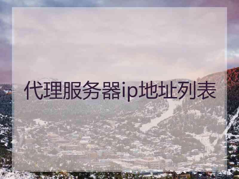 代理服务器ip地址列表