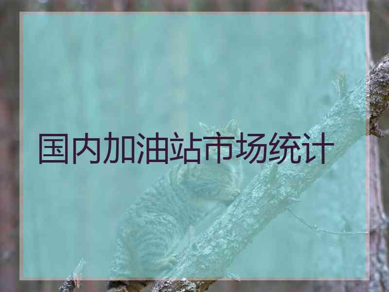国内加油站市场统计