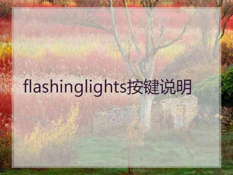 flashinglights按键说明