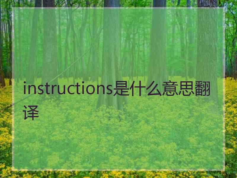 instructions是什么意思翻译