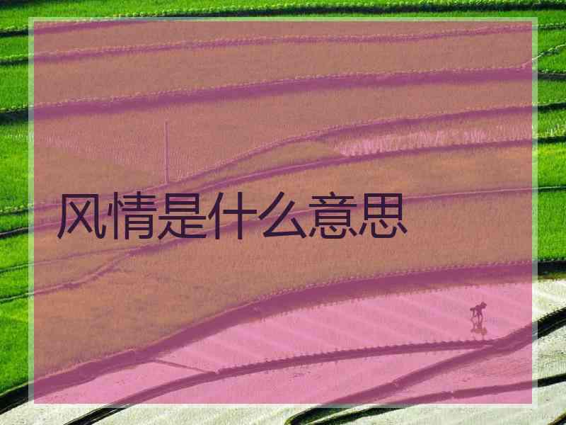 风情是什么意思