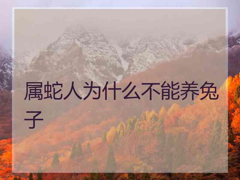 属蛇人为什么不能养兔子