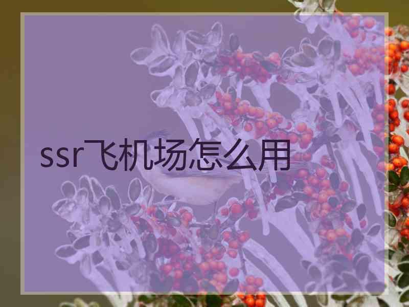 ssr飞机场怎么用