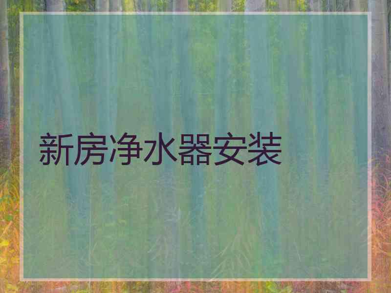 新房净水器安装