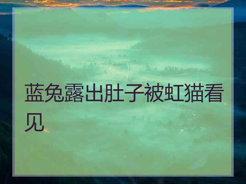 蓝兔露出肚子被虹猫看见