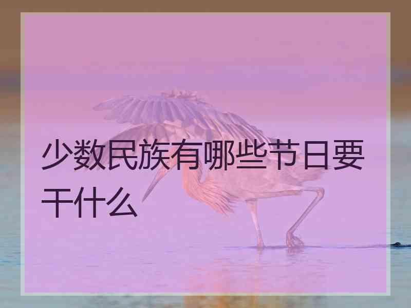 少数民族有哪些节日要干什么
