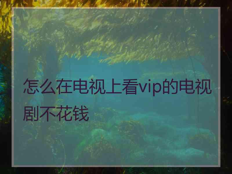 怎么在电视上看vip的电视剧不花钱