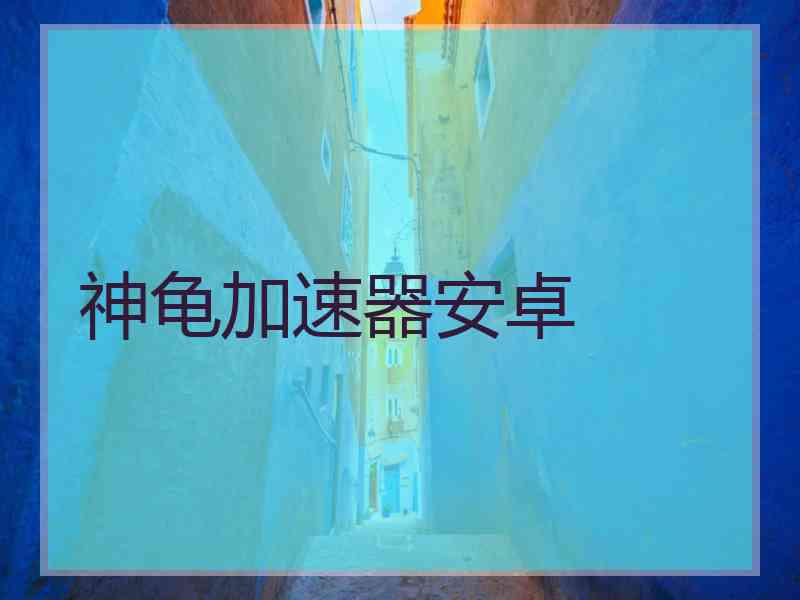神龟加速器安卓