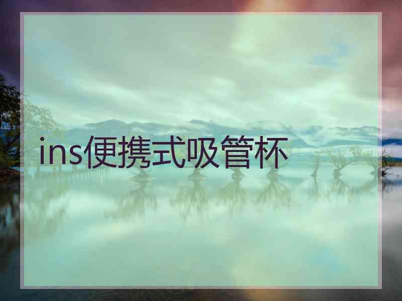 ins便携式吸管杯
