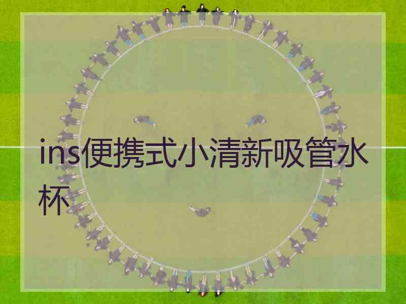 ins便携式小清新吸管水杯