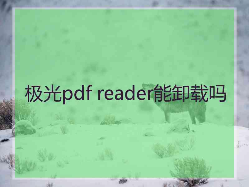 极光pdf reader能卸载吗