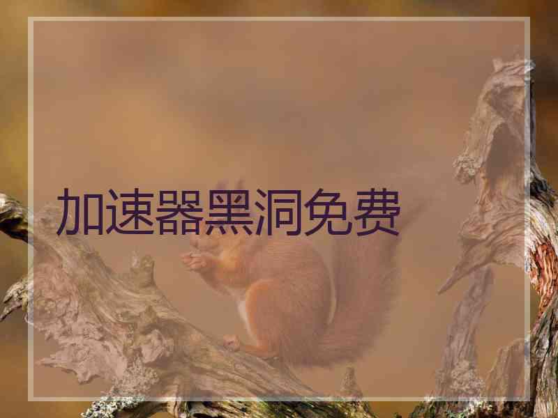 加速器黑洞免费