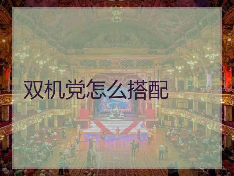 双机党怎么搭配