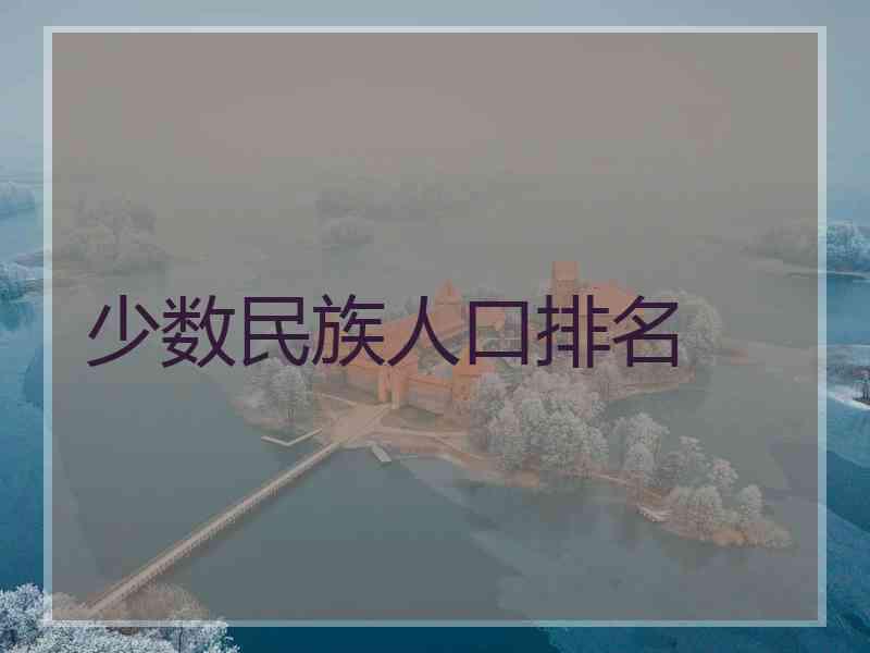 少数民族人口排名