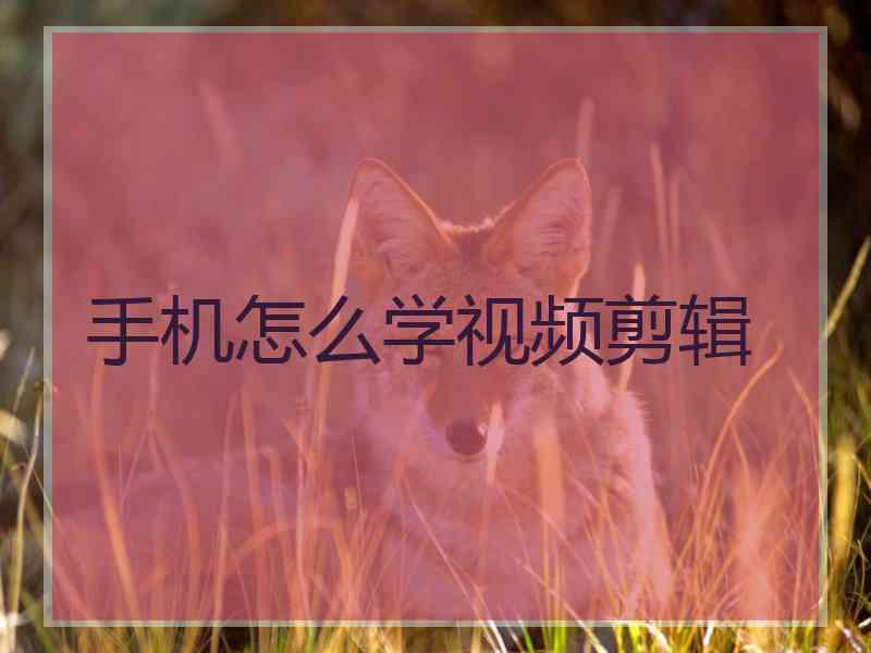 手机怎么学视频剪辑