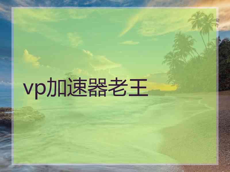 vp加速器老王