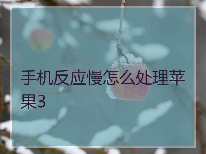 手机反应慢怎么处理苹果3
