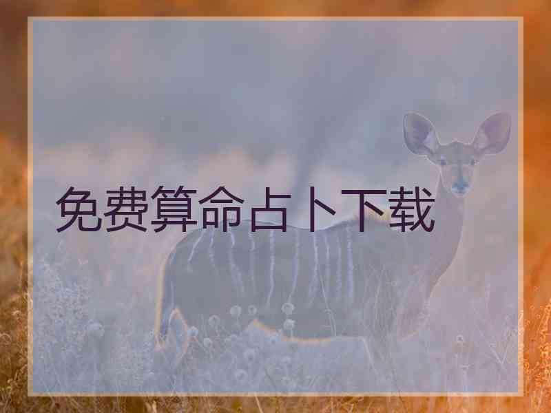 免费算命占卜下载