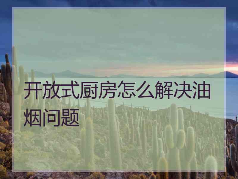 开放式厨房怎么解决油烟问题