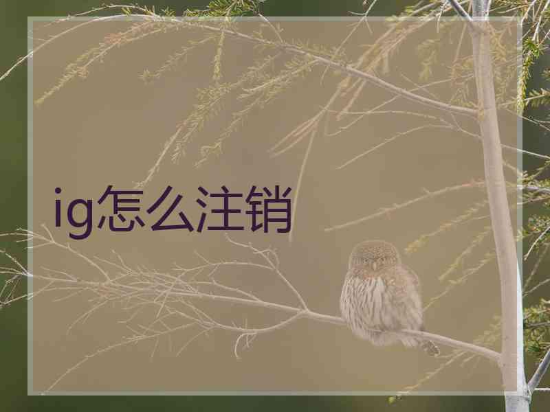 ig怎么注销