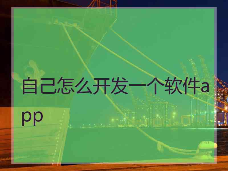 自己怎么开发一个软件app