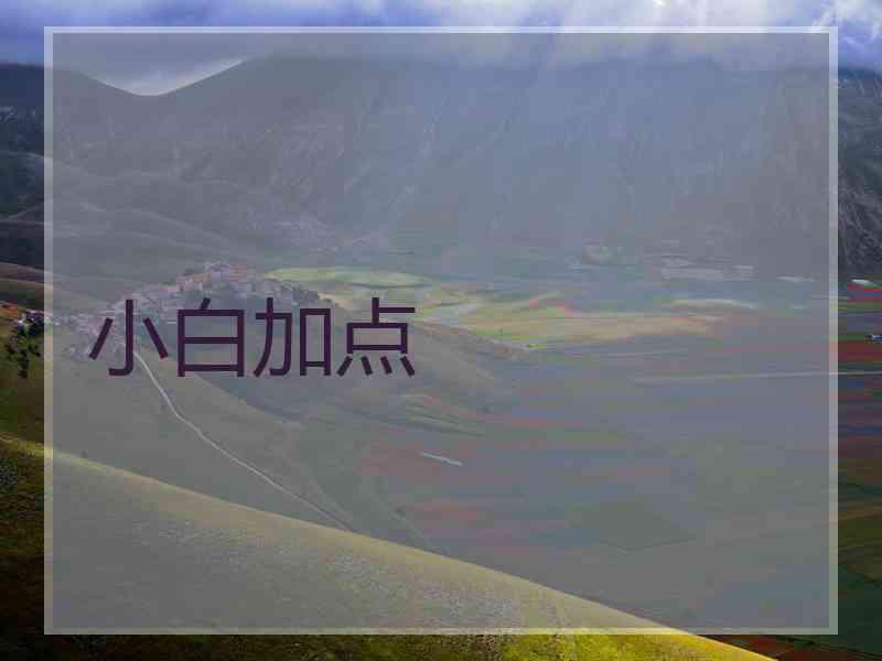 小白加点