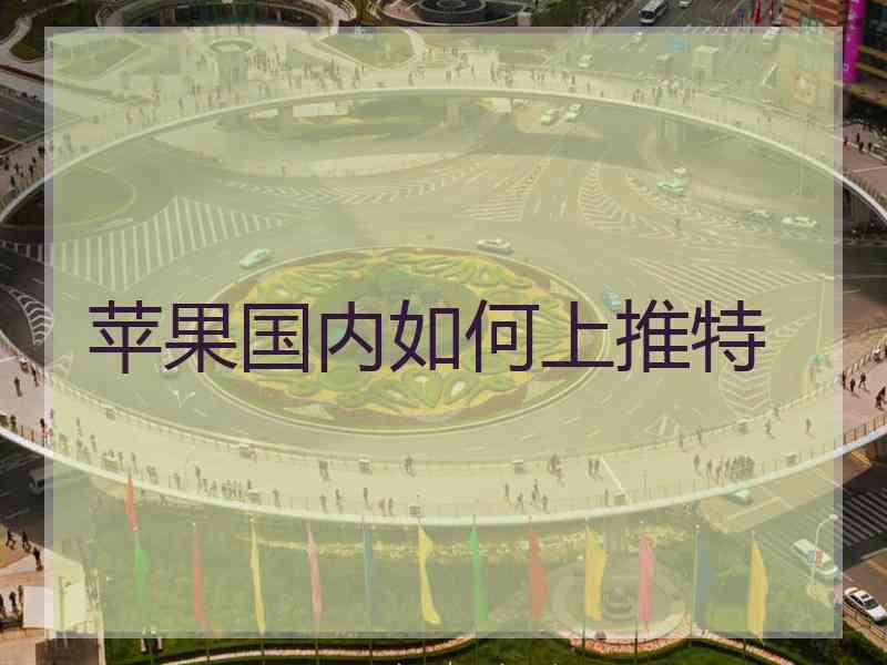 苹果国内如何上推特