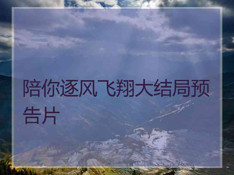 陪你逐风飞翔大结局预告片