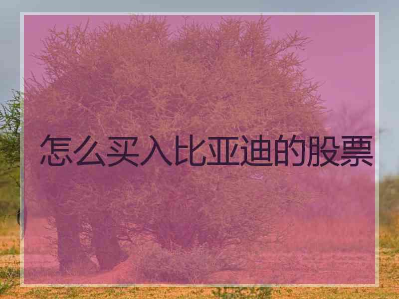 怎么买入比亚迪的股票