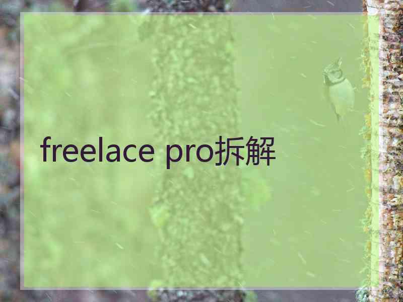 freelace pro拆解