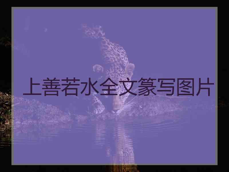 上善若水全文篆写图片