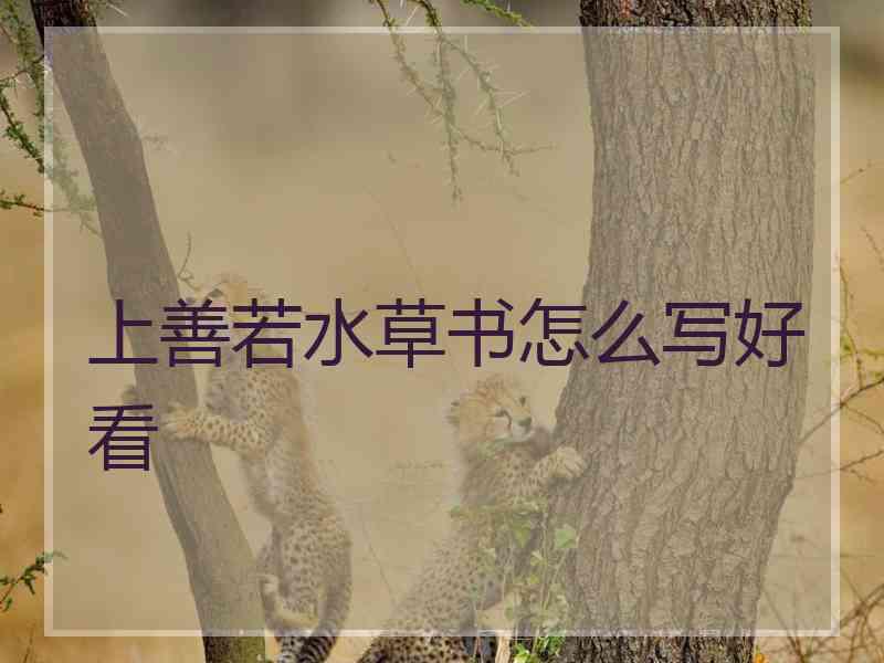 上善若水草书怎么写好看
