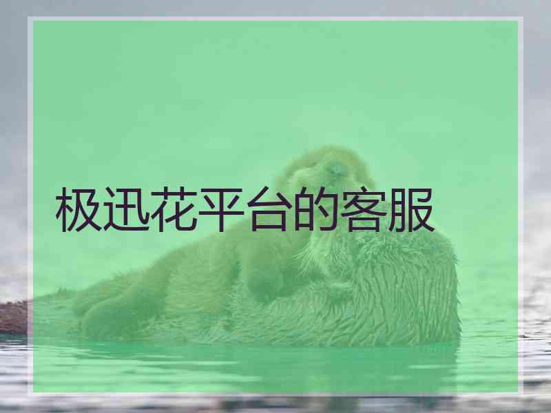 极迅花平台的客服