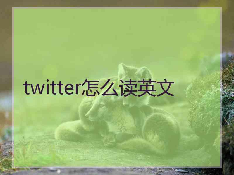 twitter怎么读英文