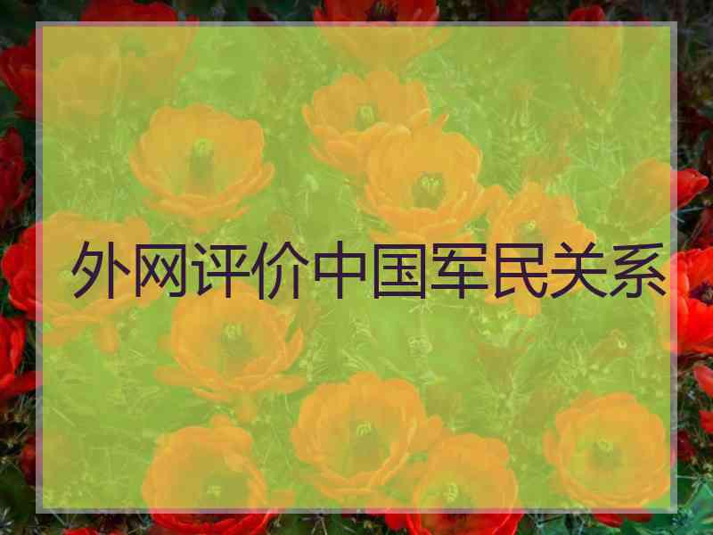 外网评价中国军民关系