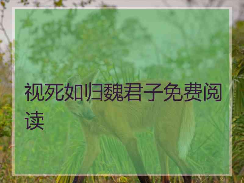 视死如归魏君子免费阅读