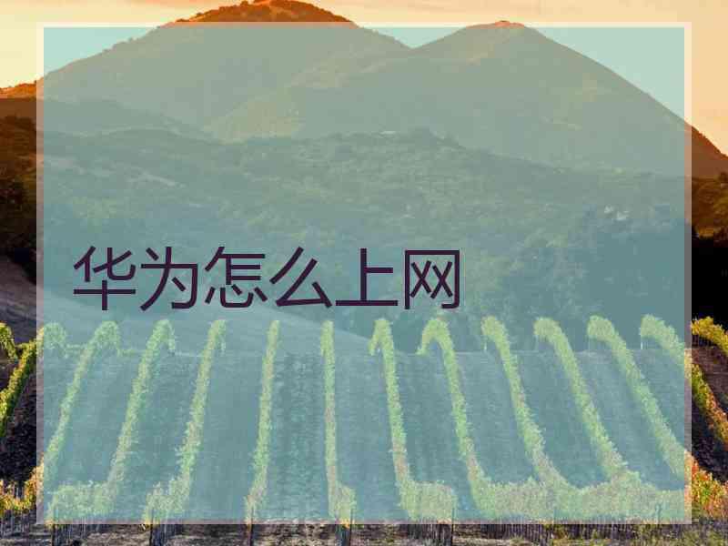 华为怎么上网