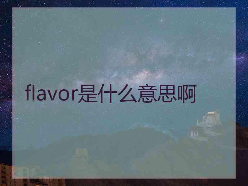 flavor是什么意思啊