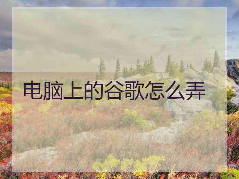 电脑上的谷歌怎么弄