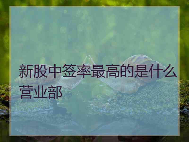 新股中签率最高的是什么营业部