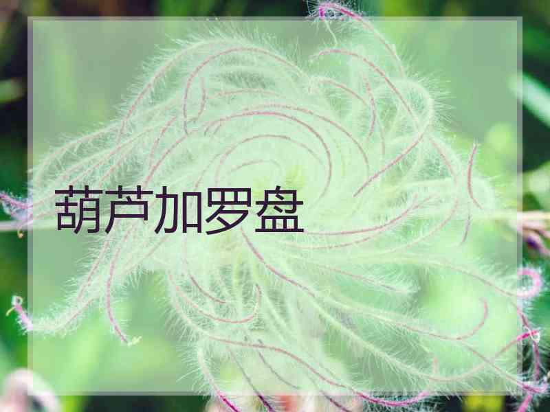 葫芦加罗盘