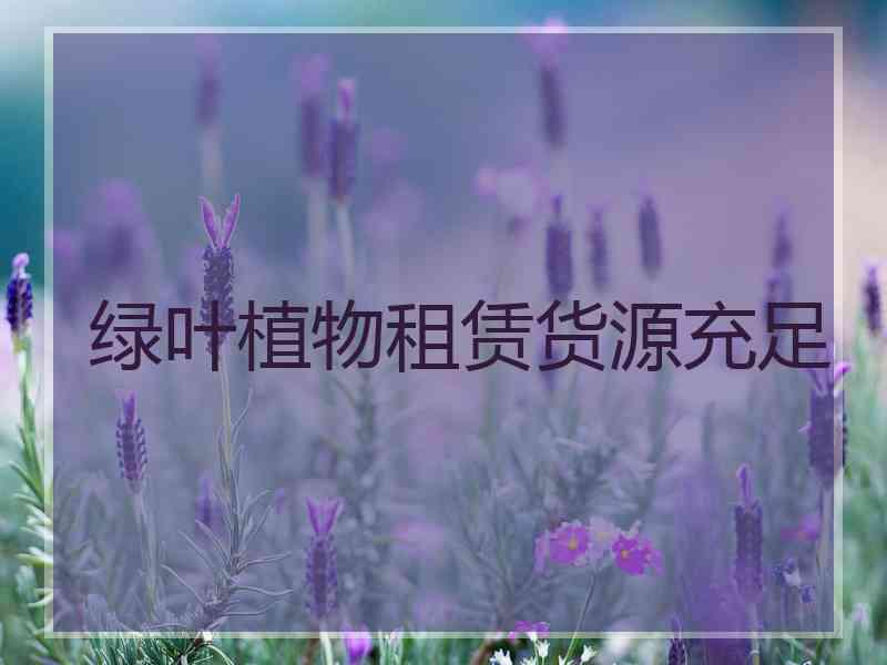 绿叶植物租赁货源充足