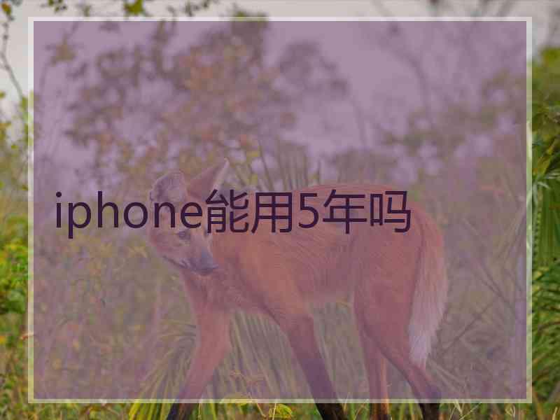 iphone能用5年吗