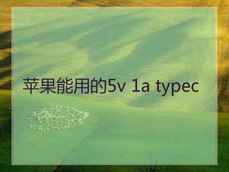 苹果能用的5v 1a typec