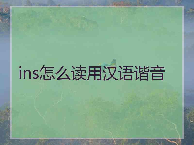 ins怎么读用汉语谐音