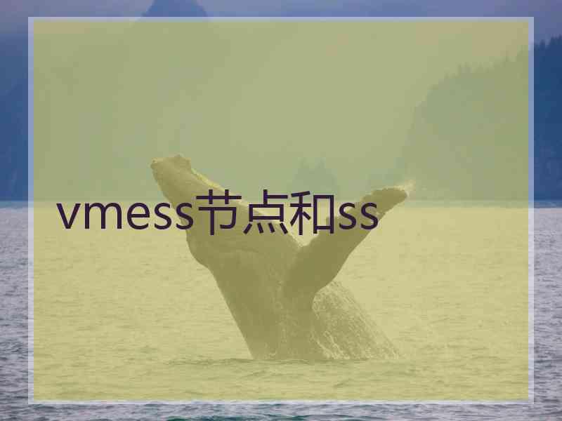 vmess节点和ss