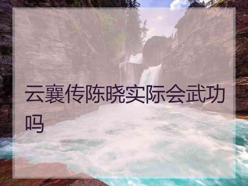 云襄传陈晓实际会武功吗
