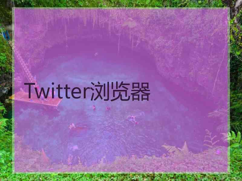 Twitter浏览器