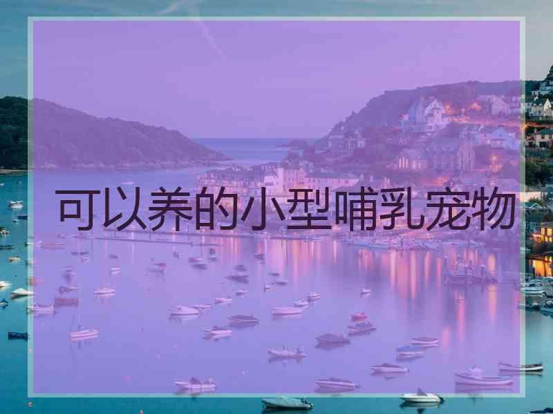 可以养的小型哺乳宠物