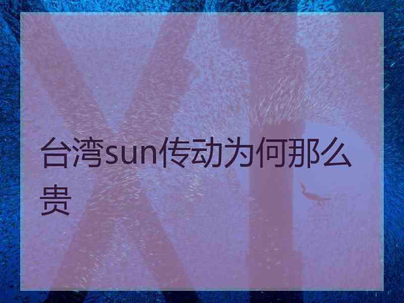 台湾sun传动为何那么贵